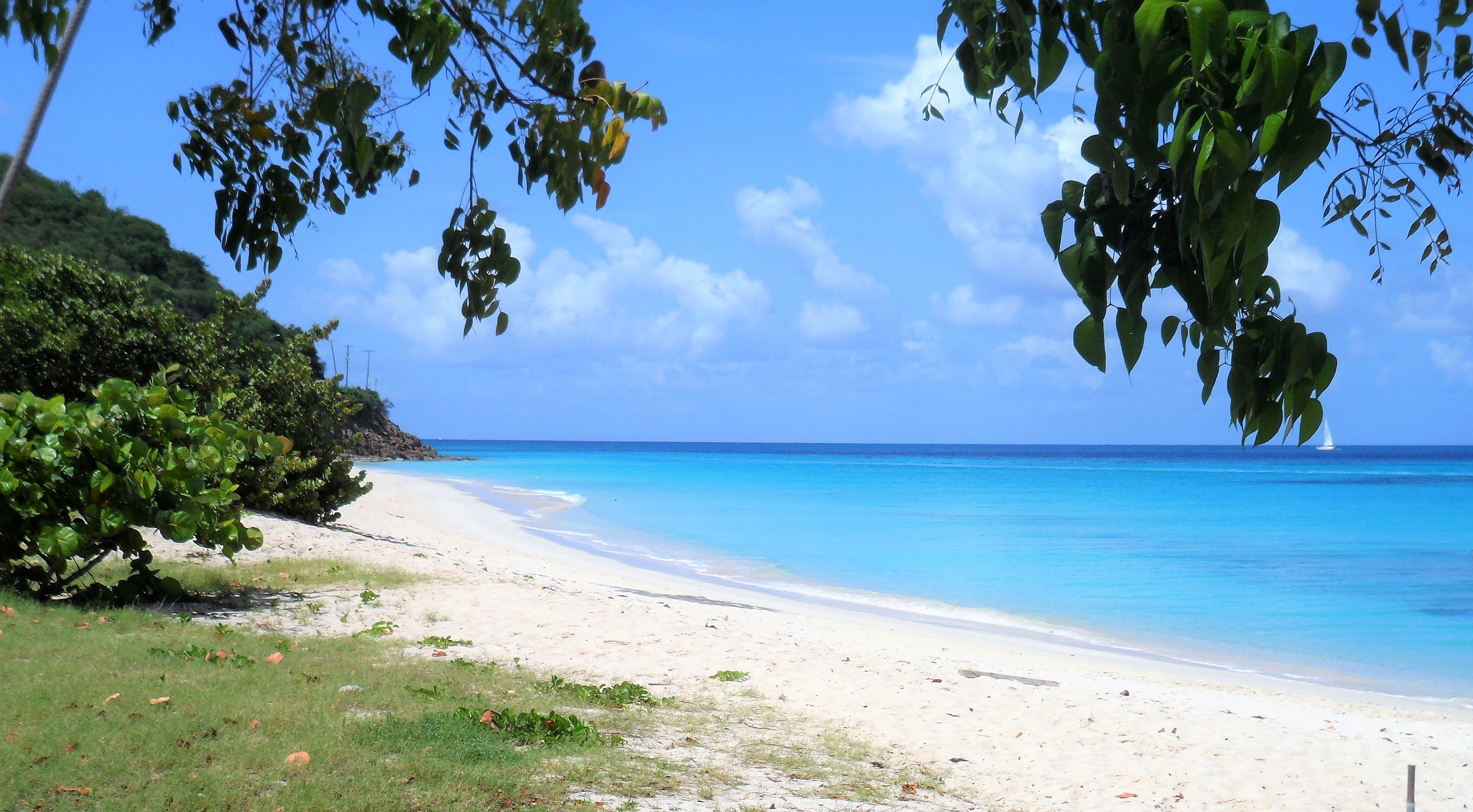le spiagge più belle di antigua