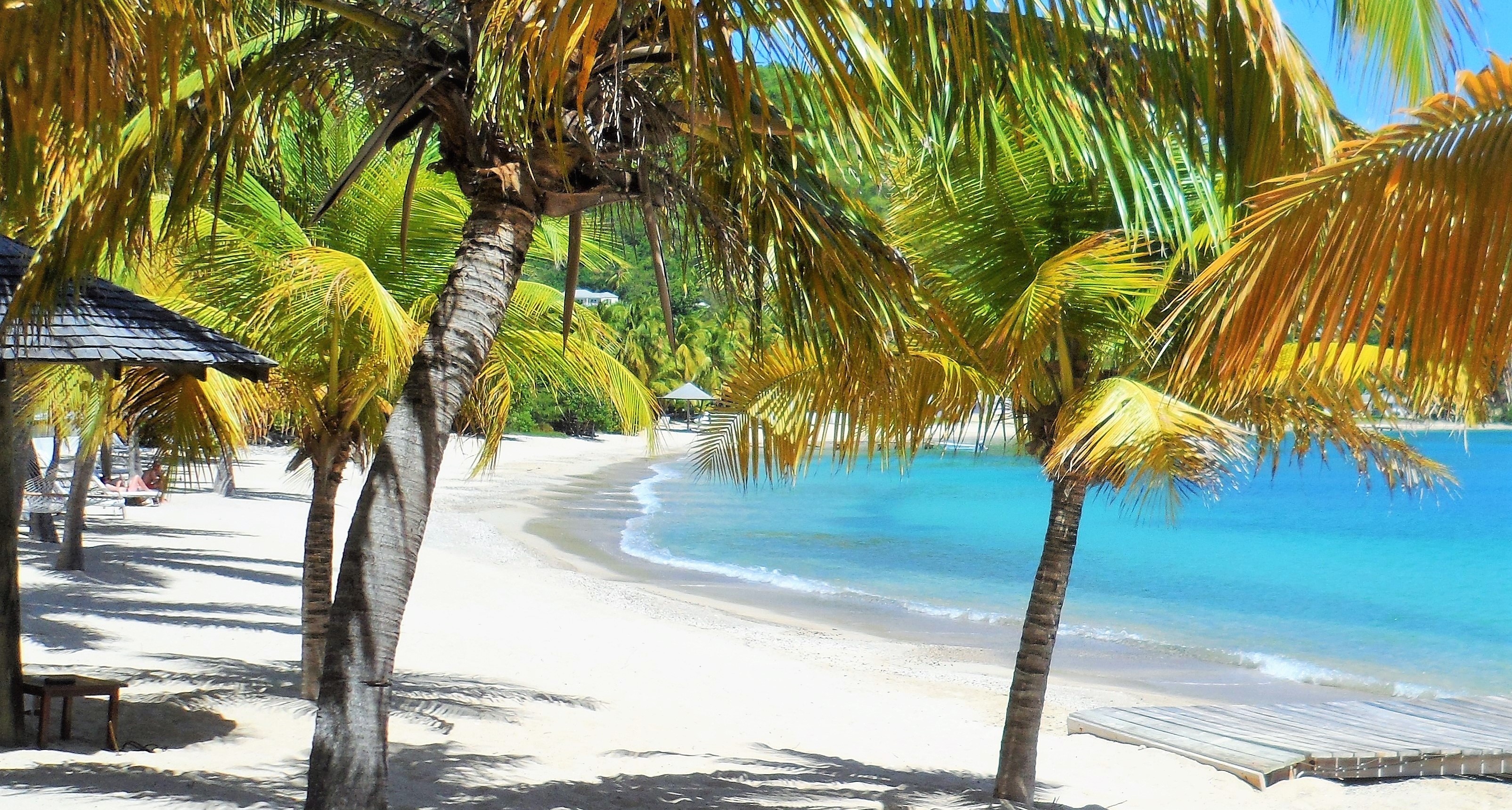 le spiagge più belle di antigua