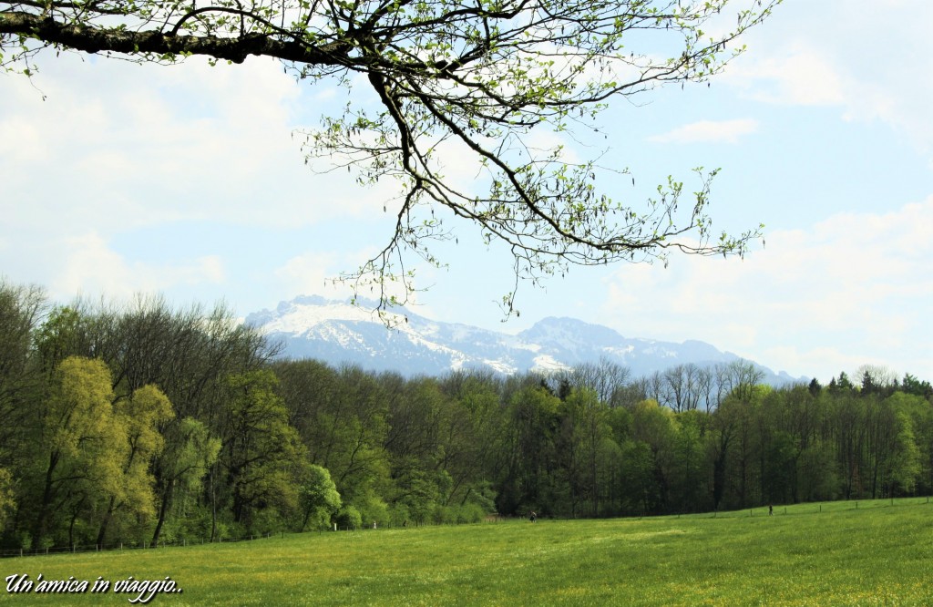 herreninsel_chiemsee