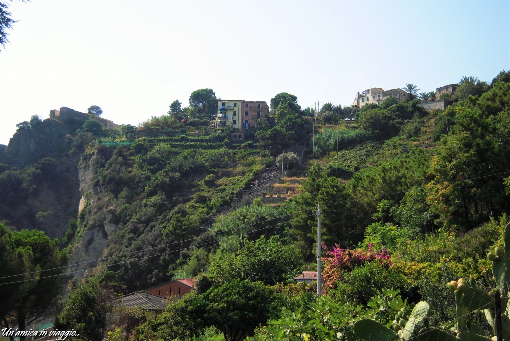 08_corniglia