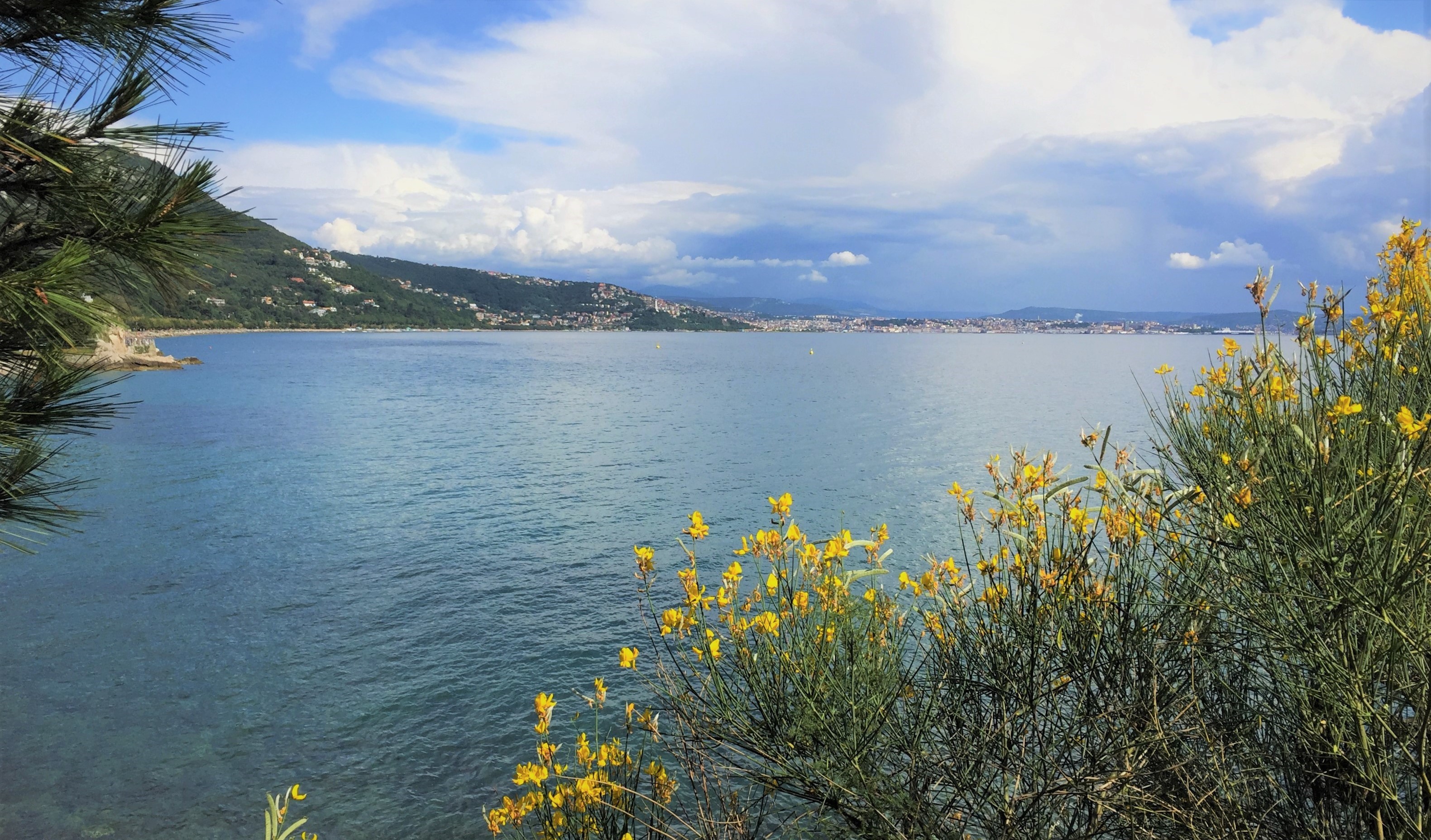 visitare il castello di miramare