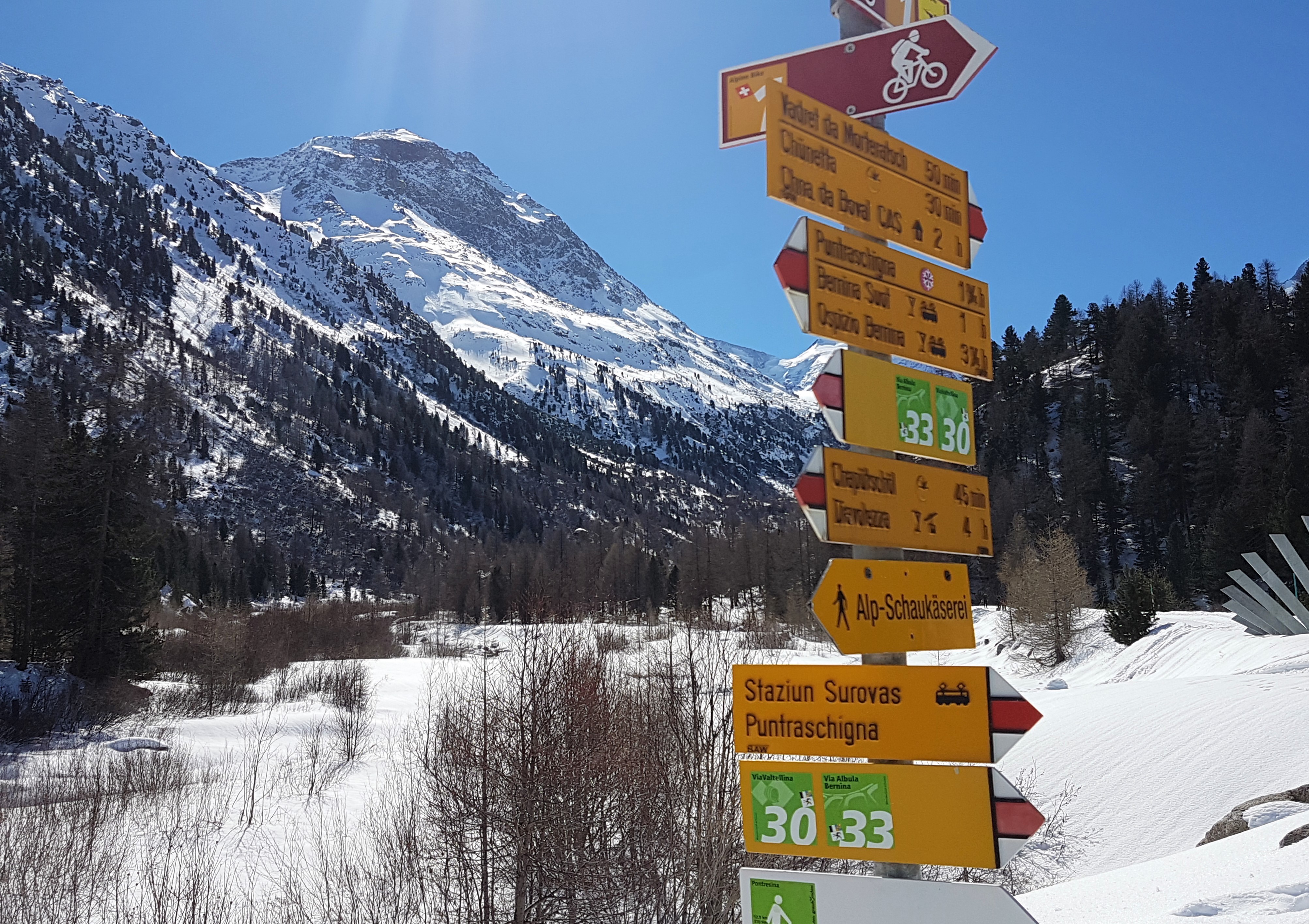 le fermate più belle del trenino rosso del bernina - ghiacciaio morteratsch