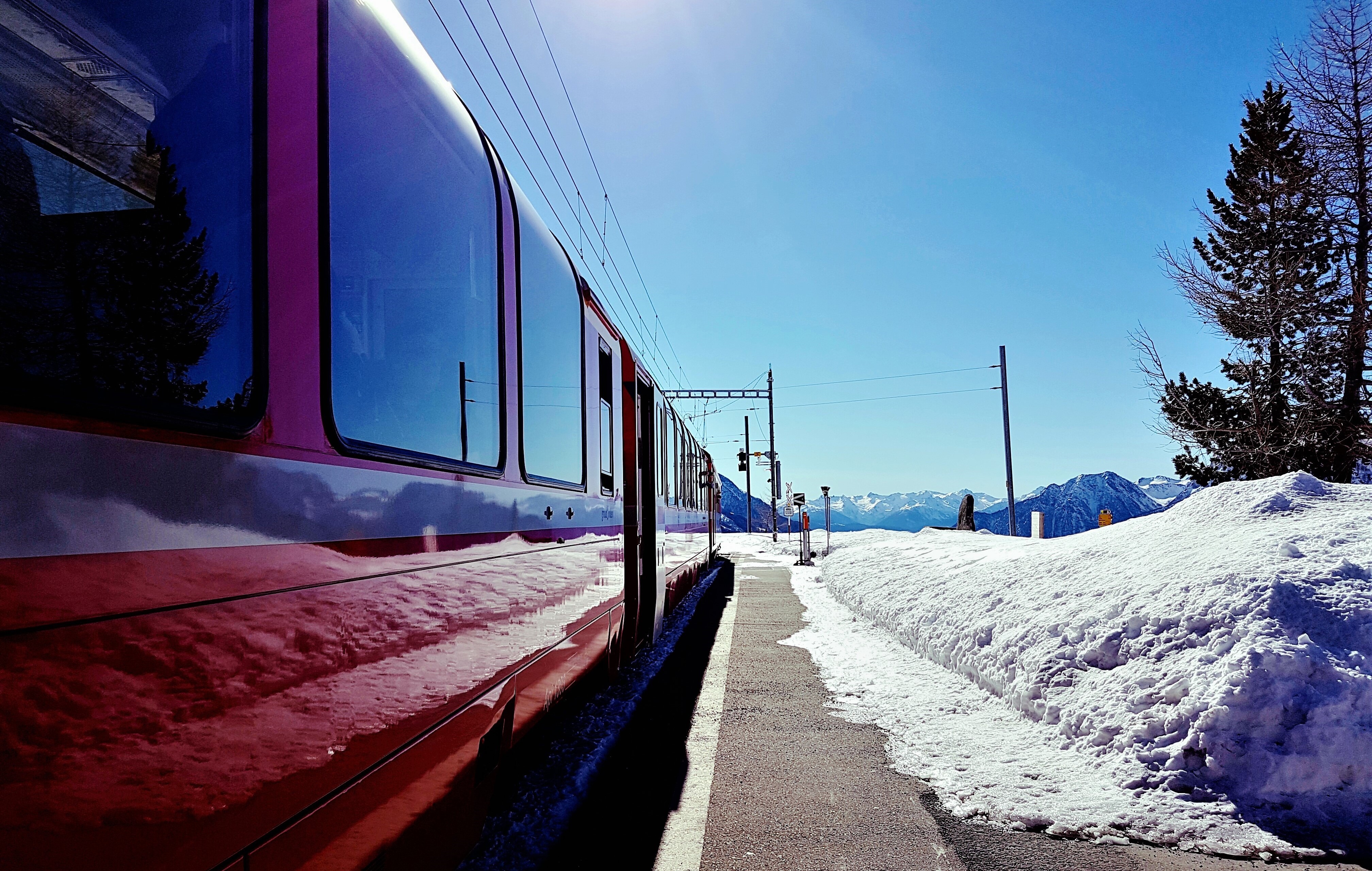 trenino rosso del bernina come organizzare il viaggio