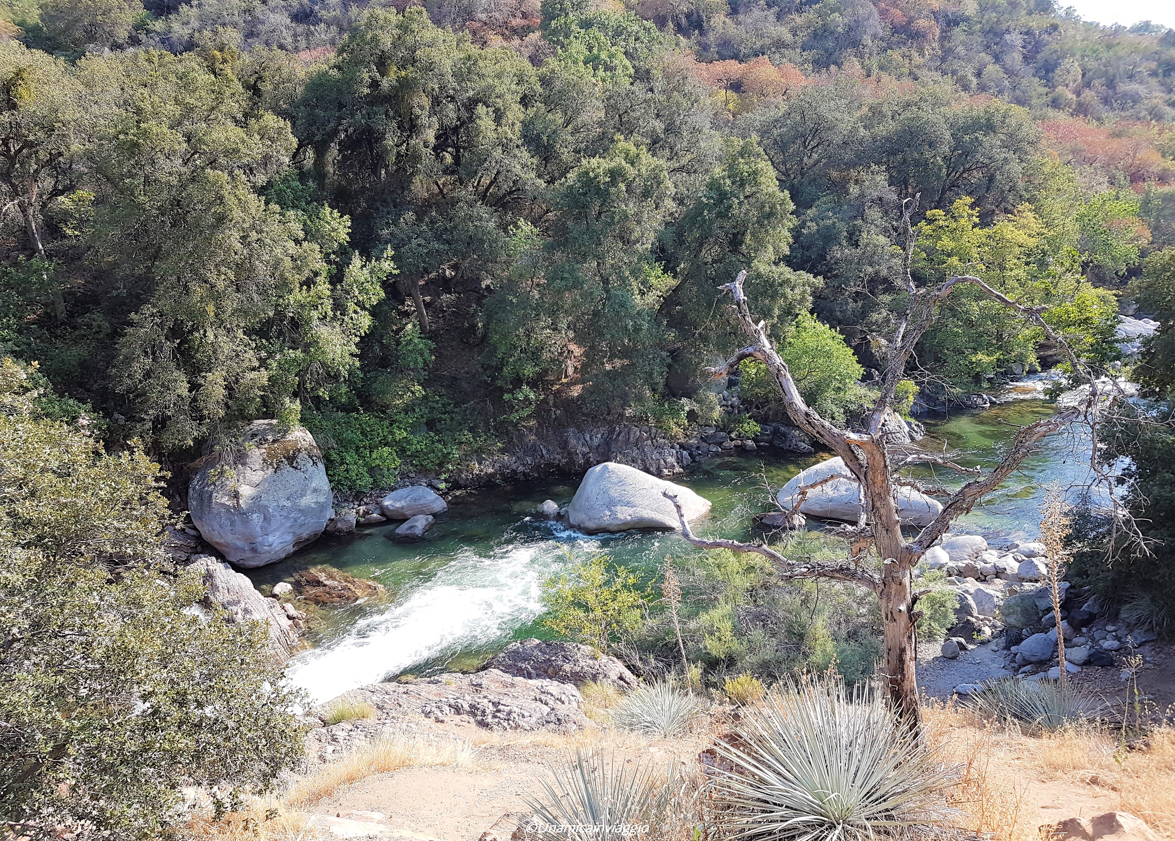 visitare il sequoia national park