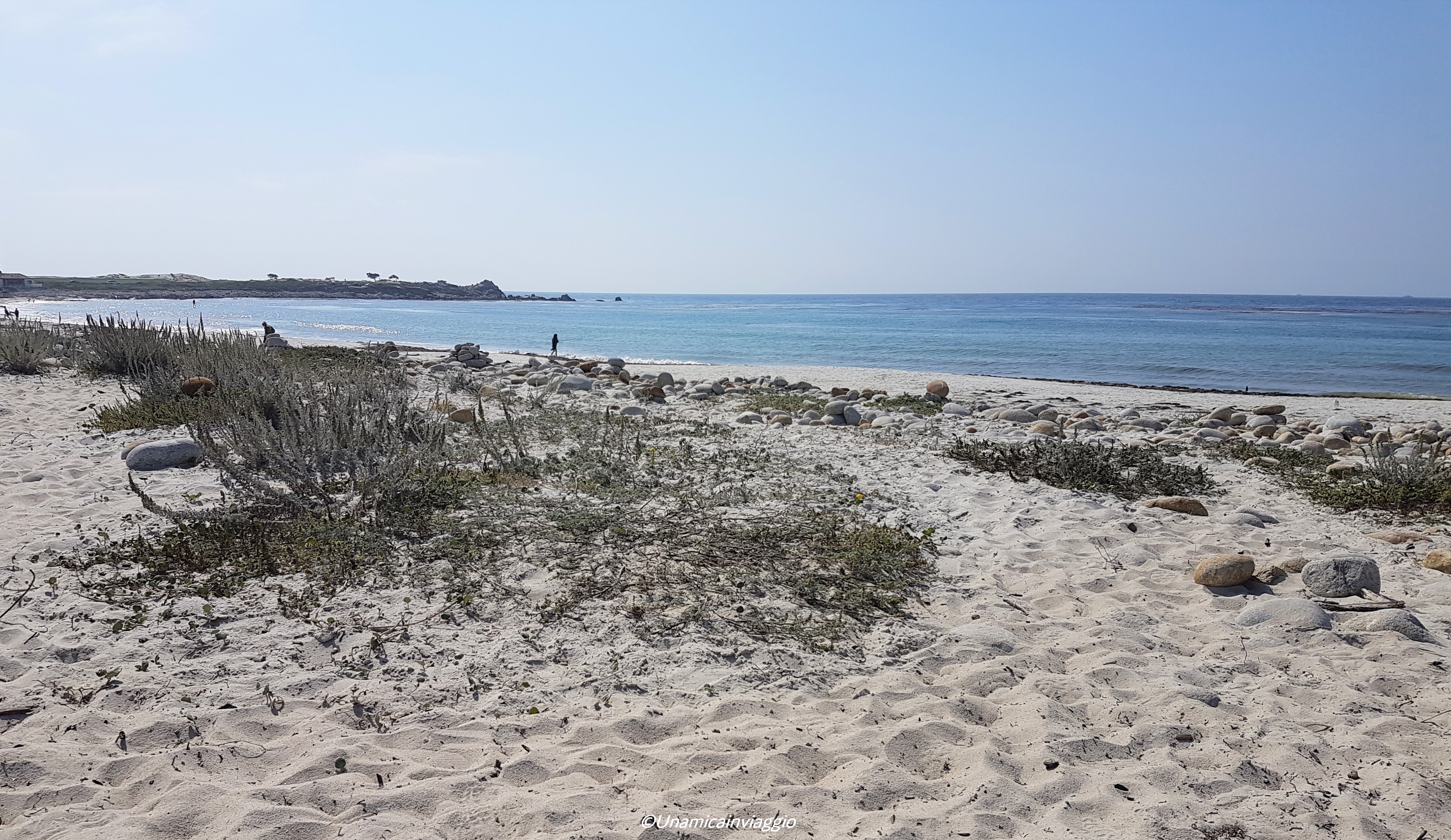cosa vedere a monterey