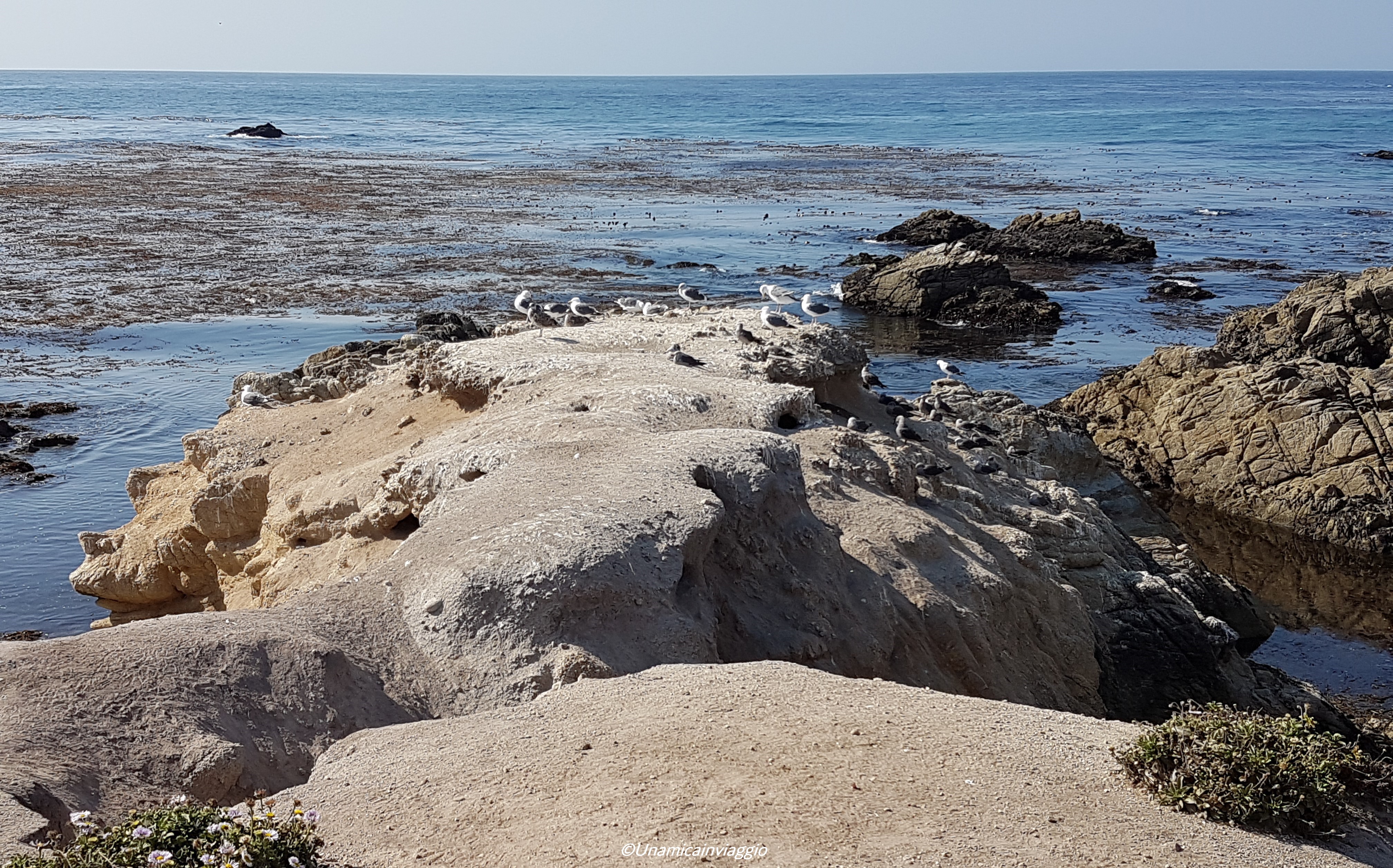 cosa vedere a monterey