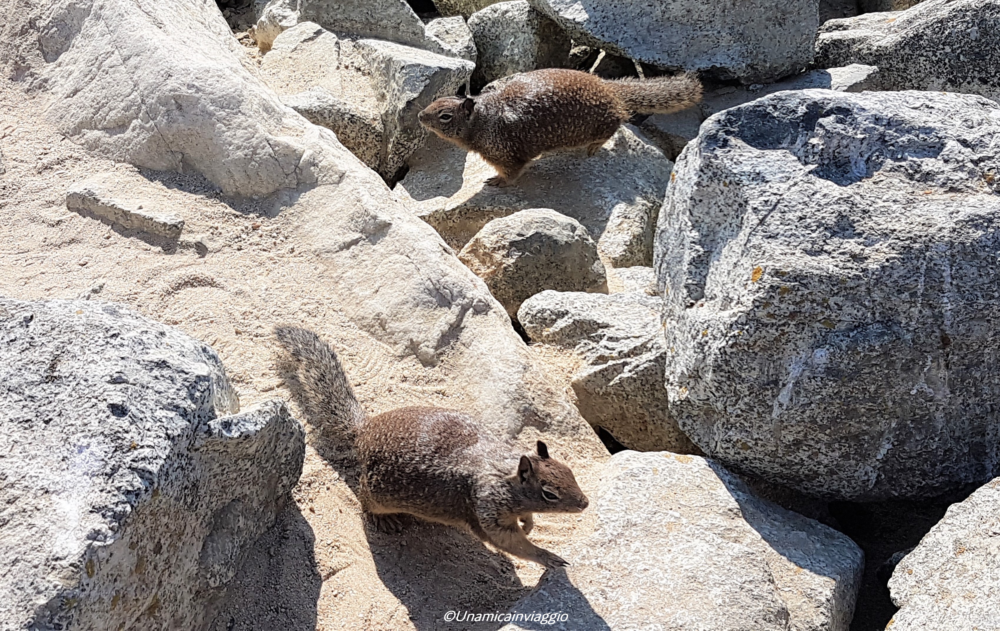 cosa vedere a monterey