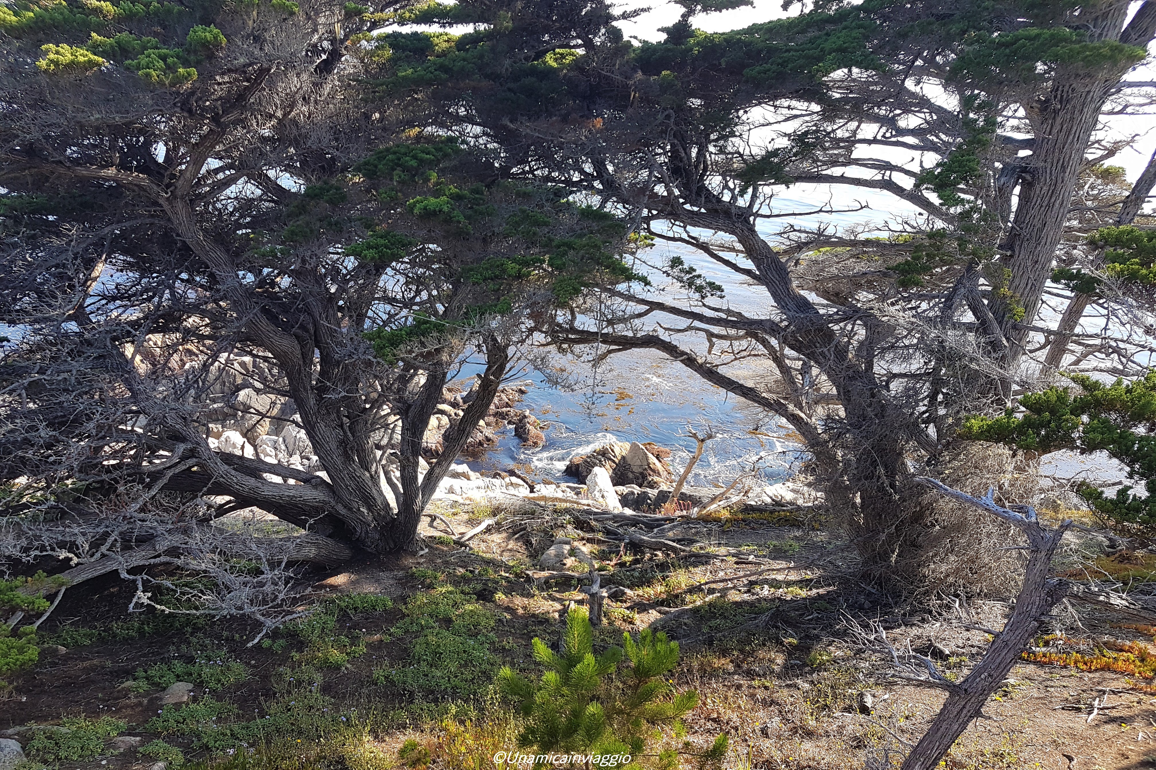 cosa vedere a monterey