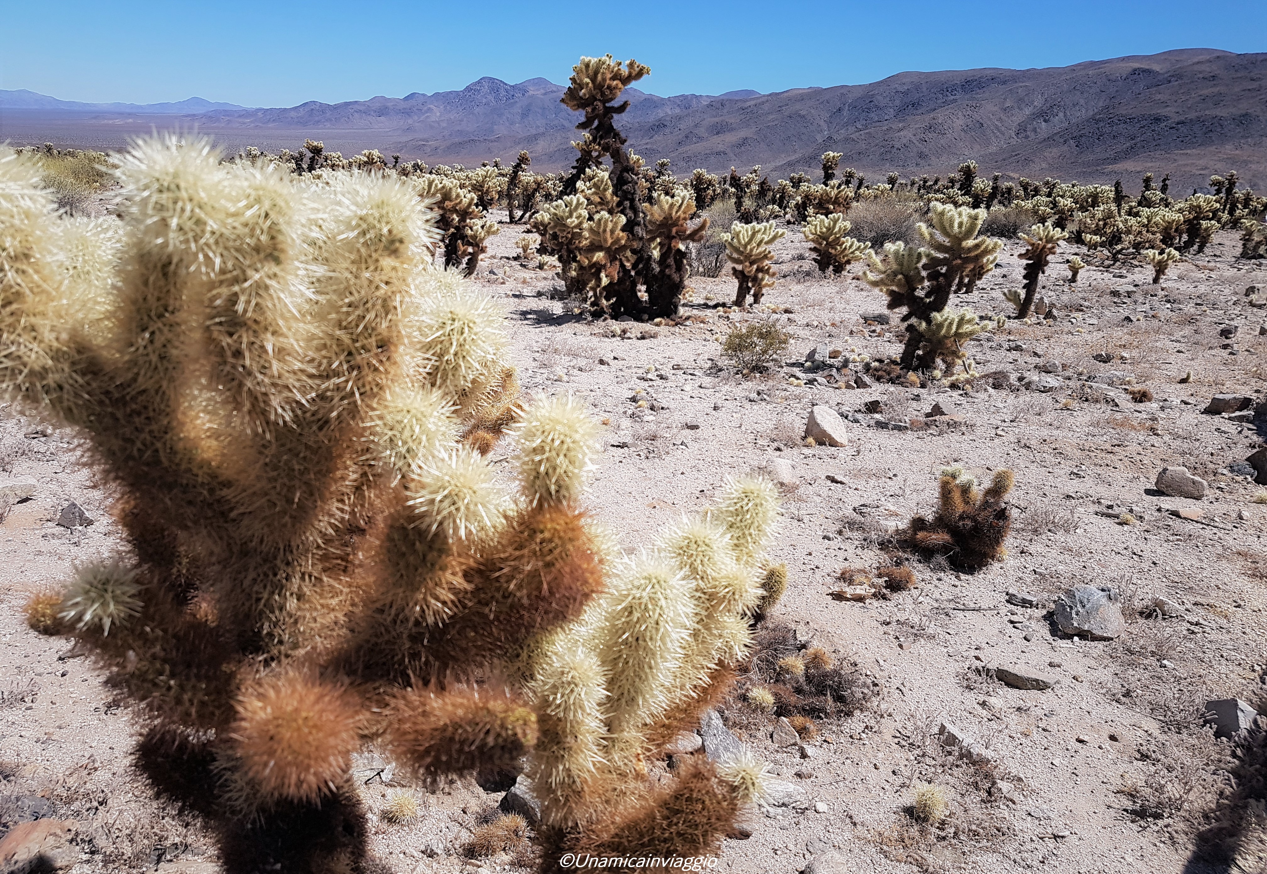 itinerario di 3 settimane tra california e parchi dell'ovest