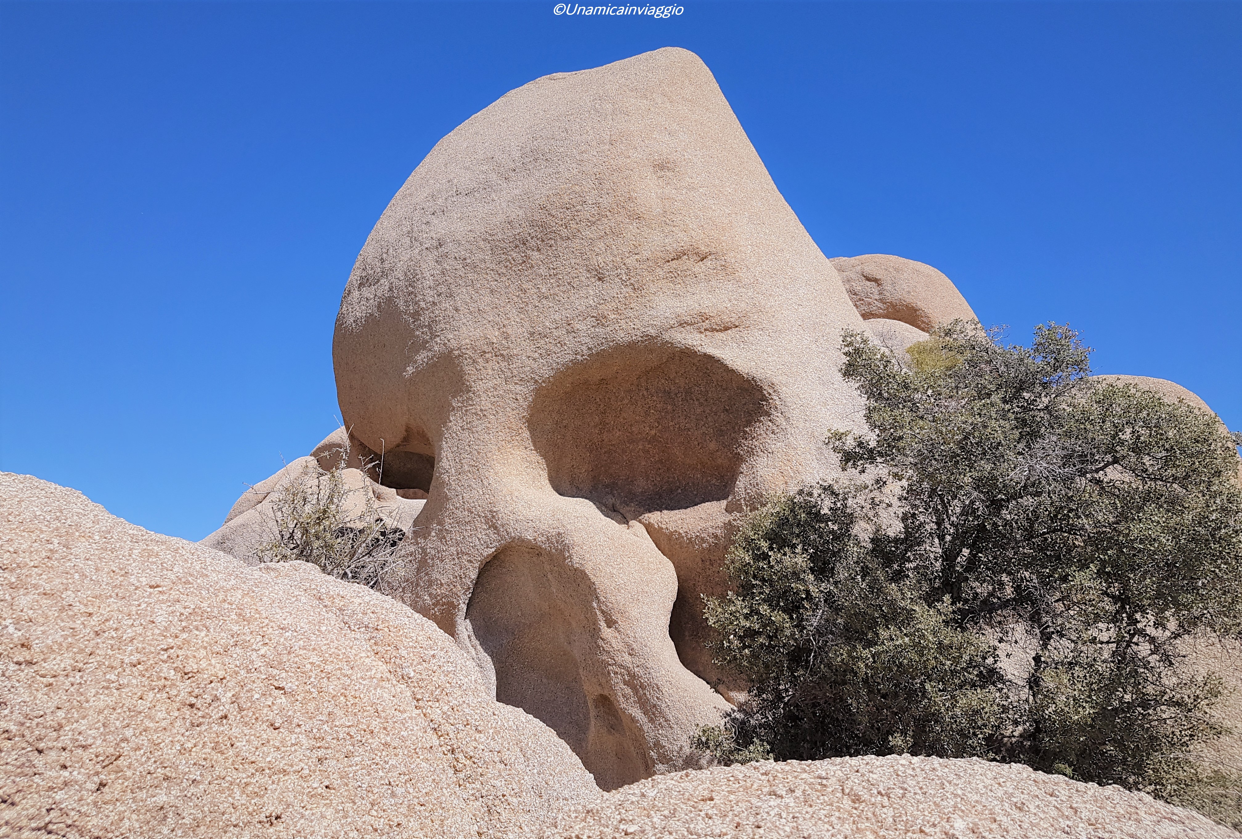 visitare il joshua tree
