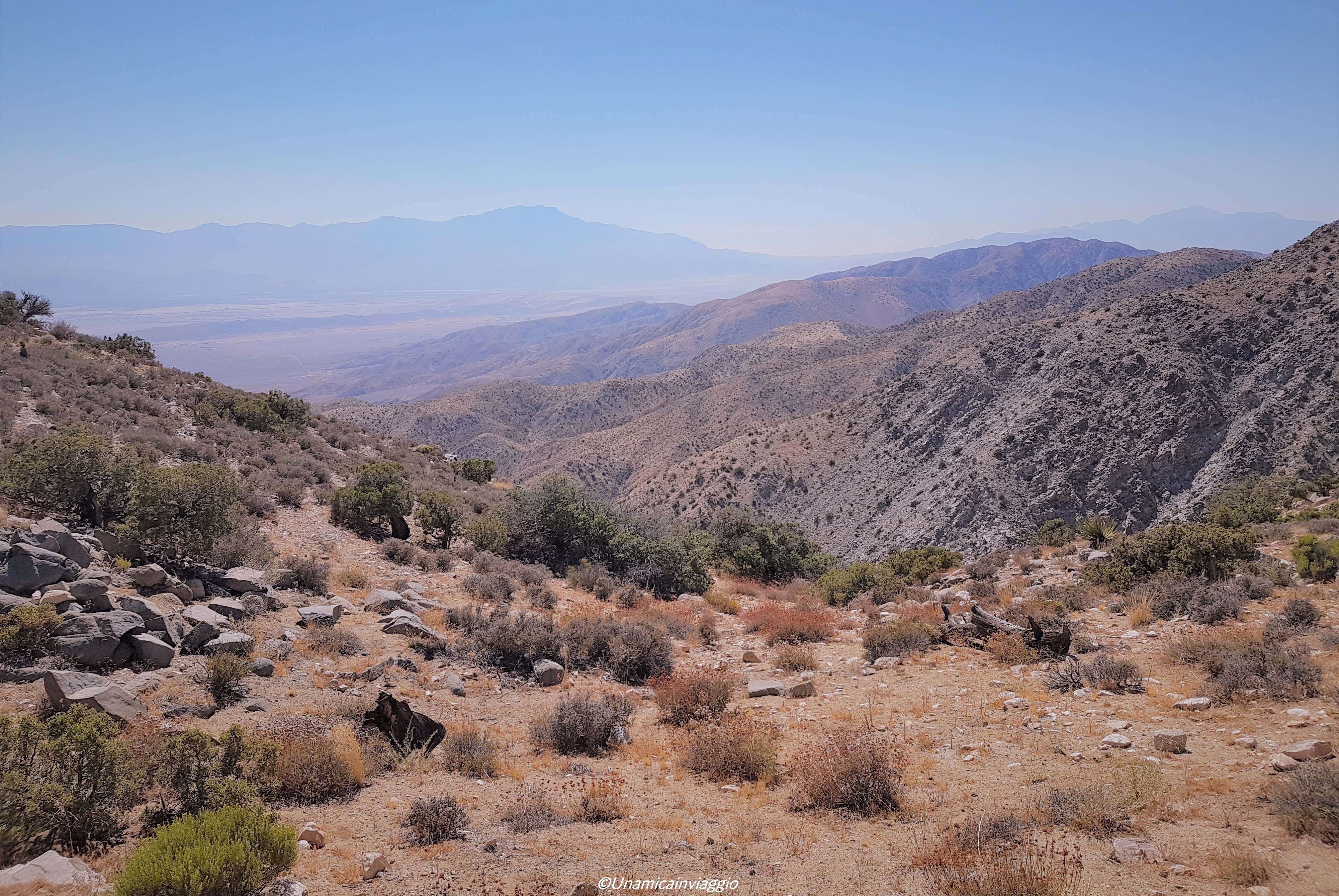 visitare il joshua tree