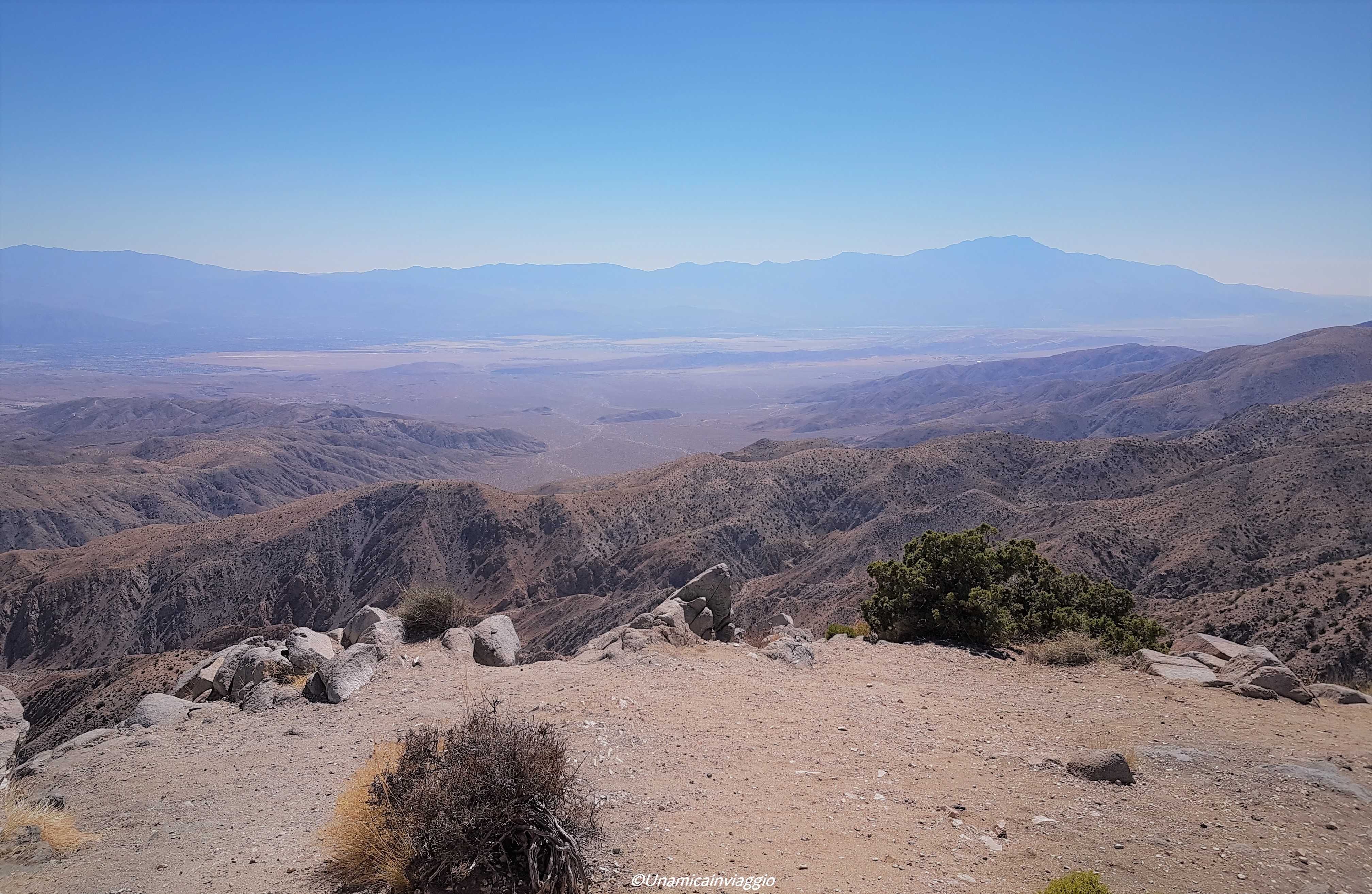 visitare il joshua tree