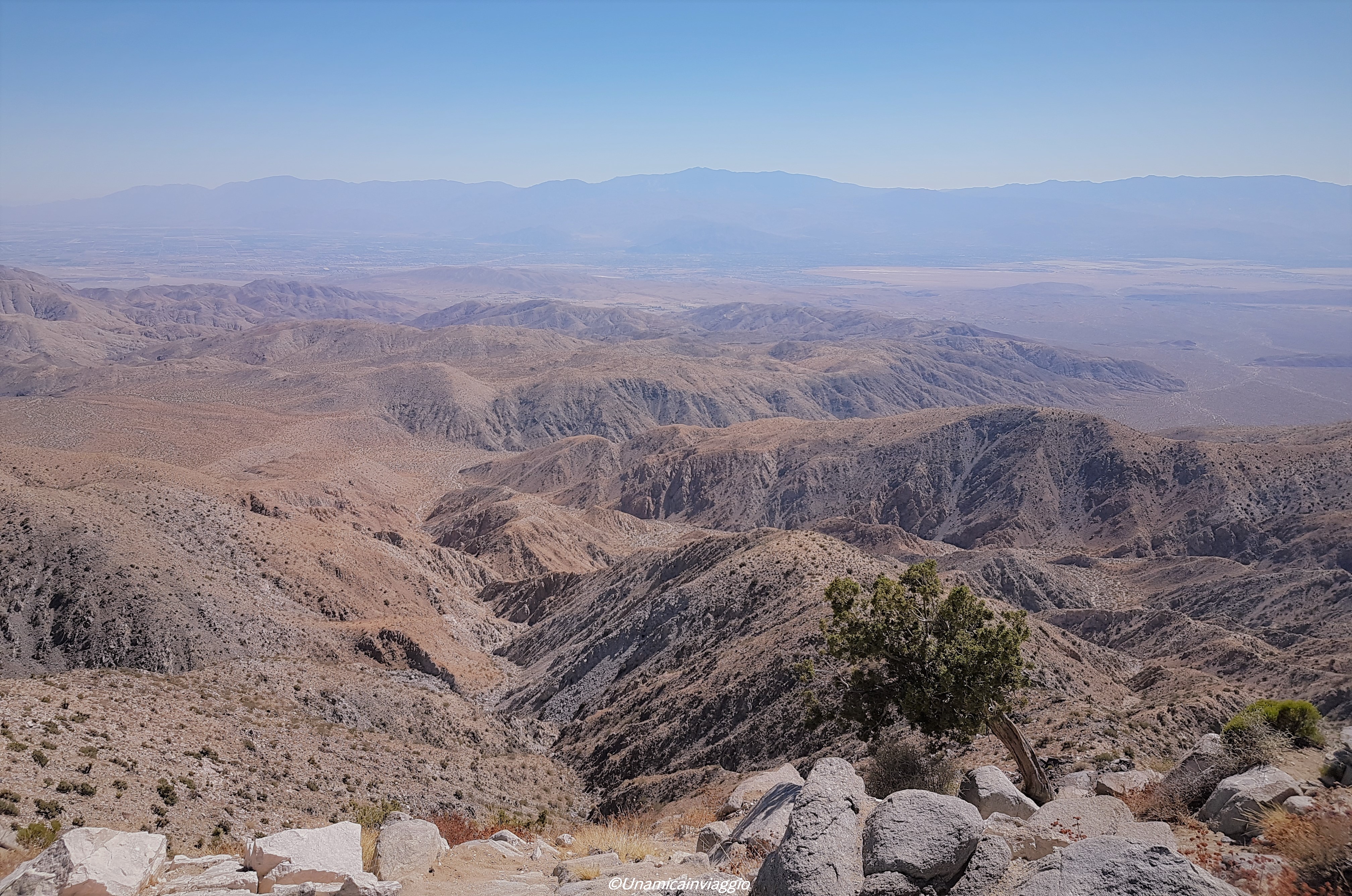 visitare il joshua tree