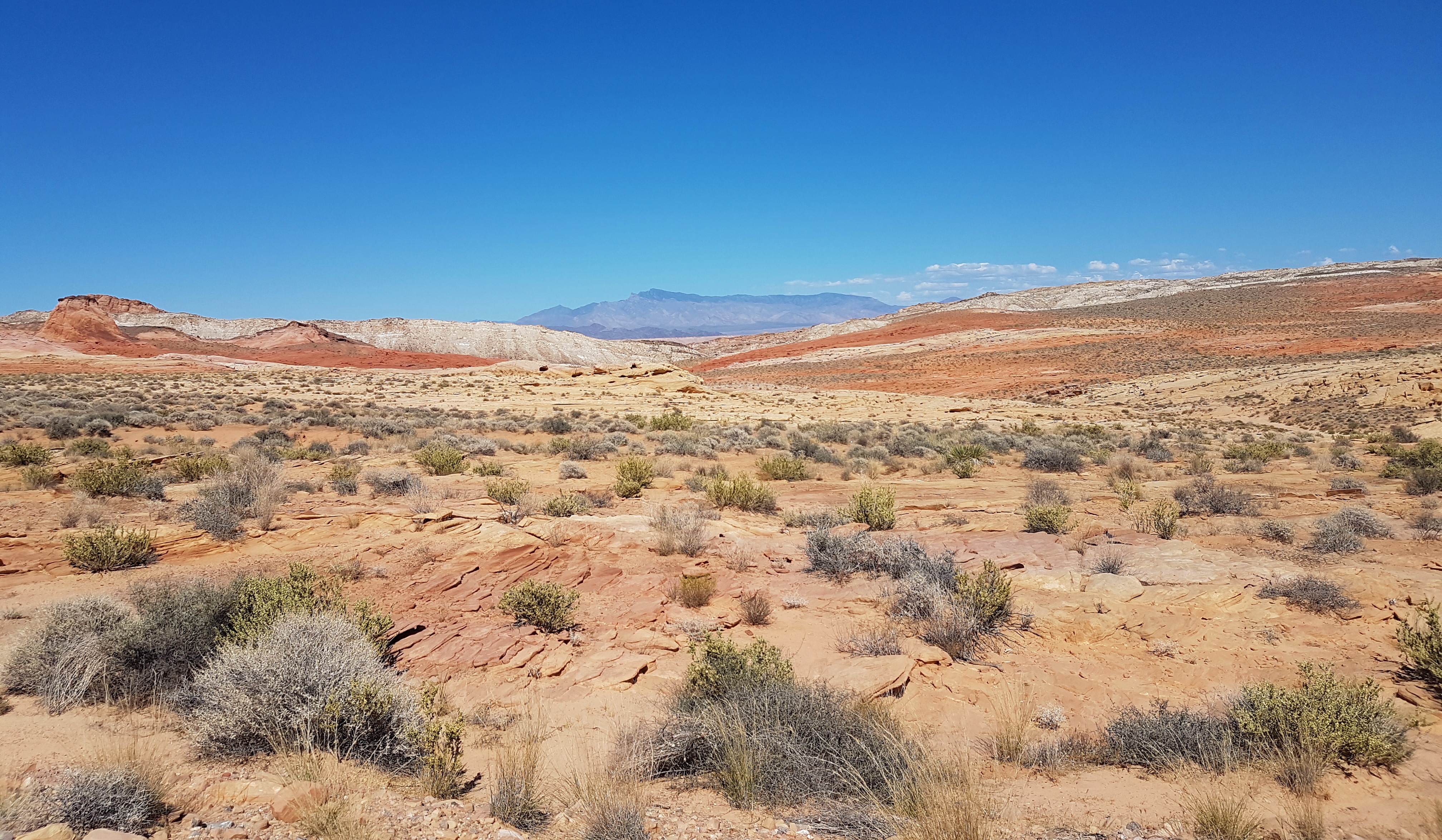 visitare la valley of fire - nevada