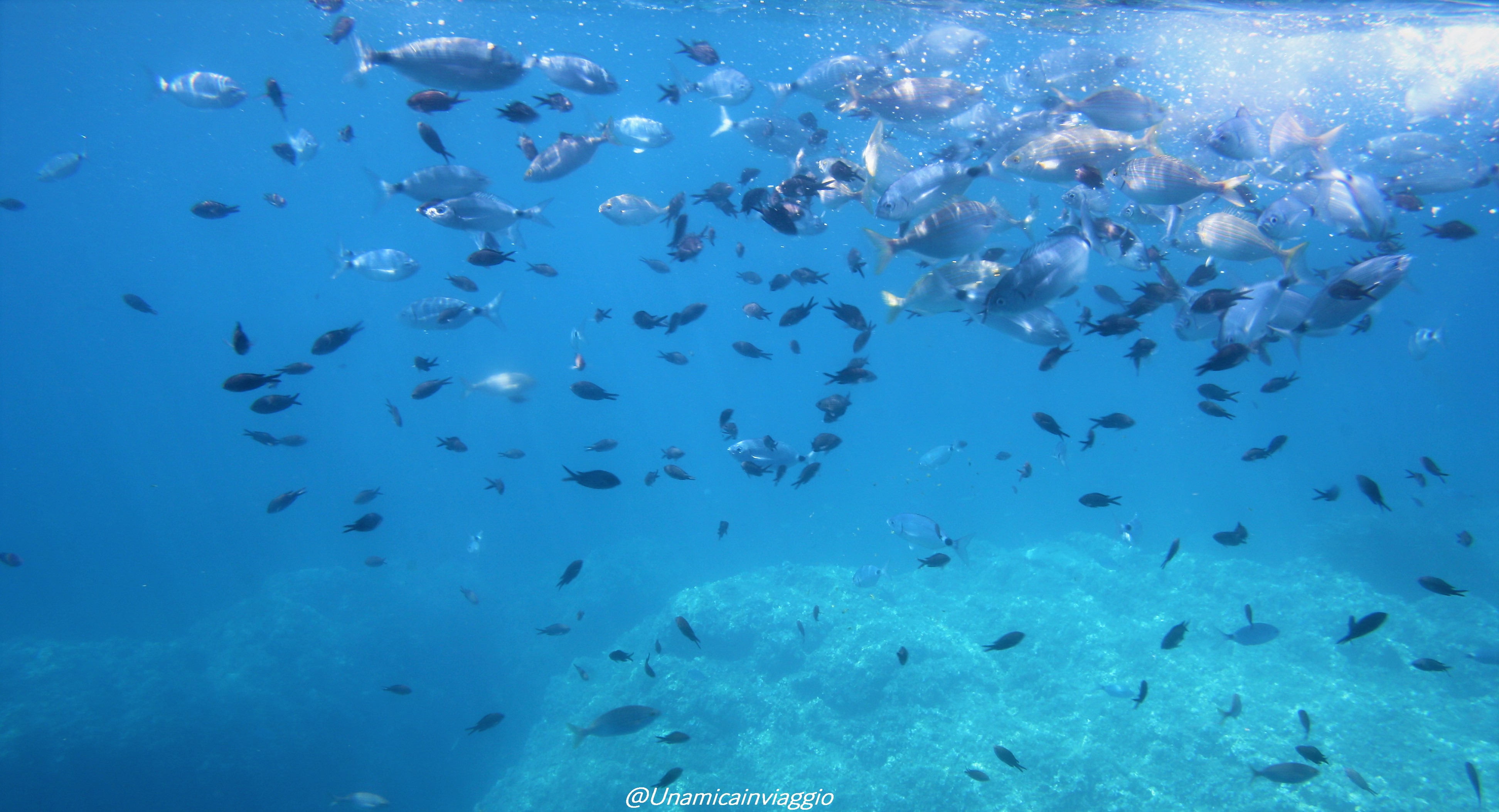 weekend all'isola d'elba - cosa fare a capoliveri