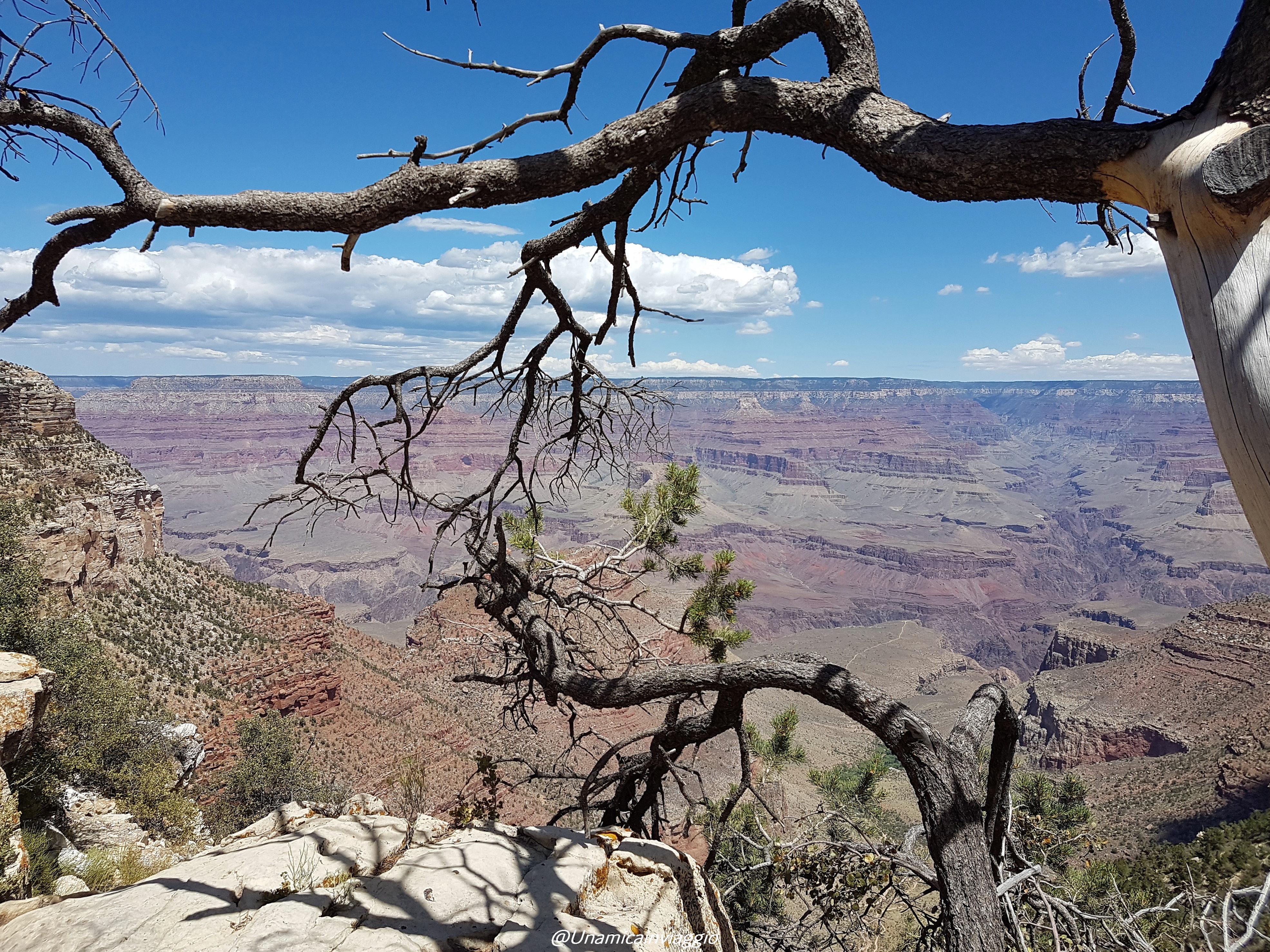 visitare il grand canyon south rim