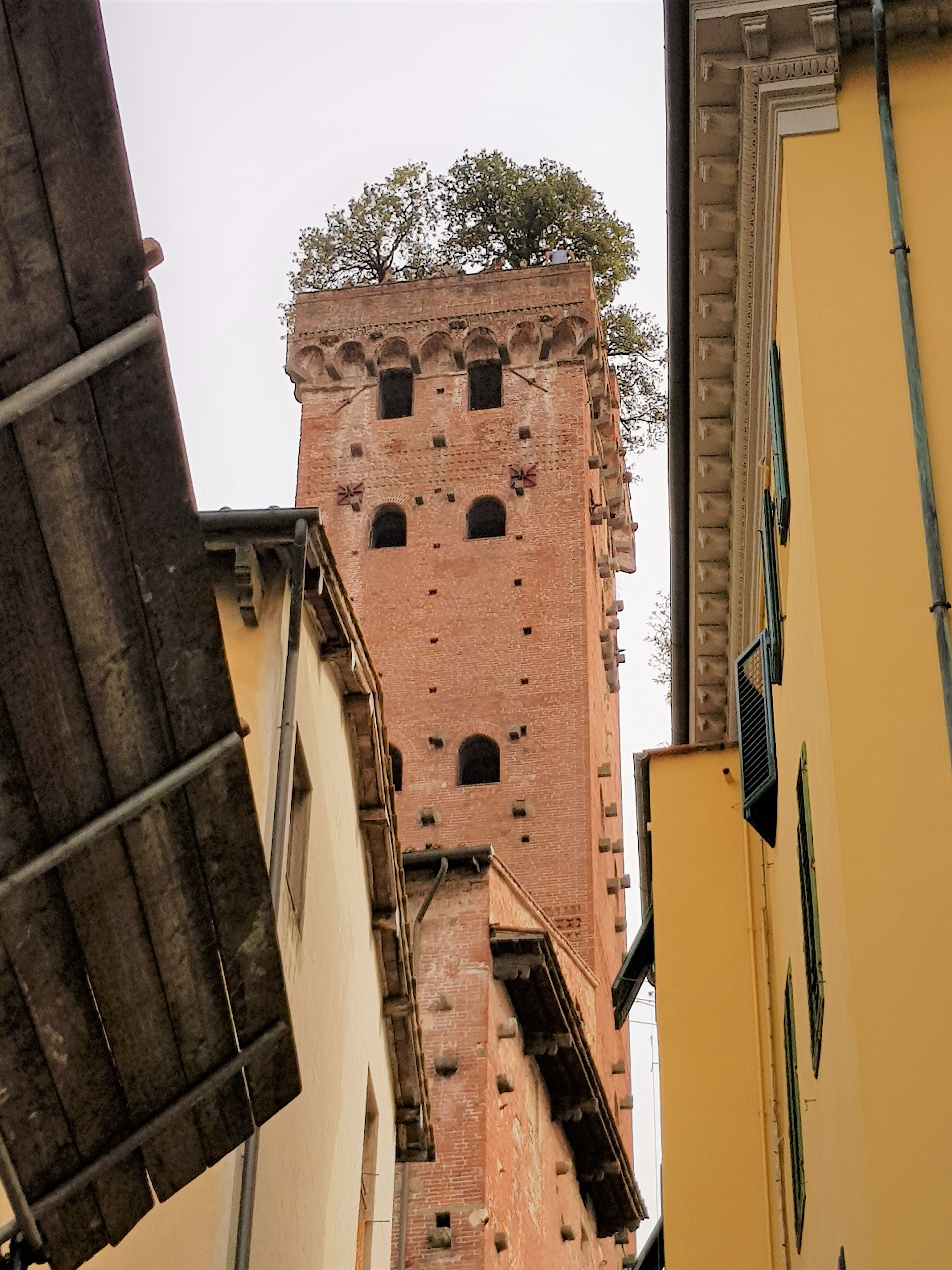 cosa vedere a lucca in un giorno - itinerario - torre guining