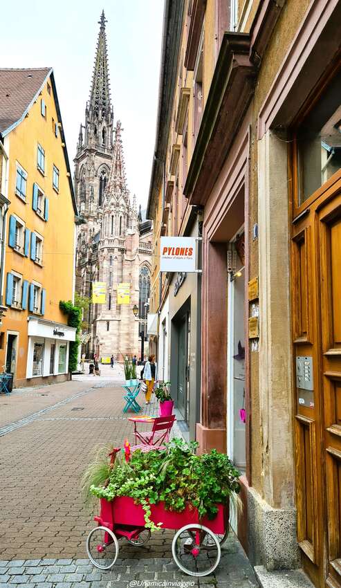cosa-vedere-a-mulhouse-alsazia