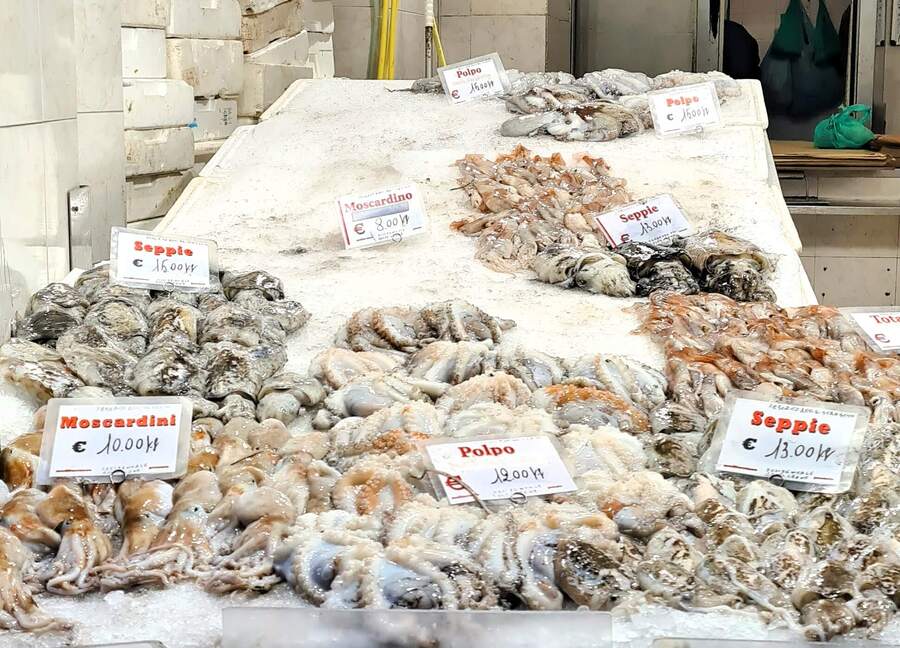 cosa-vedere-a-genova-in-un-giorno-itinerario-caruggi