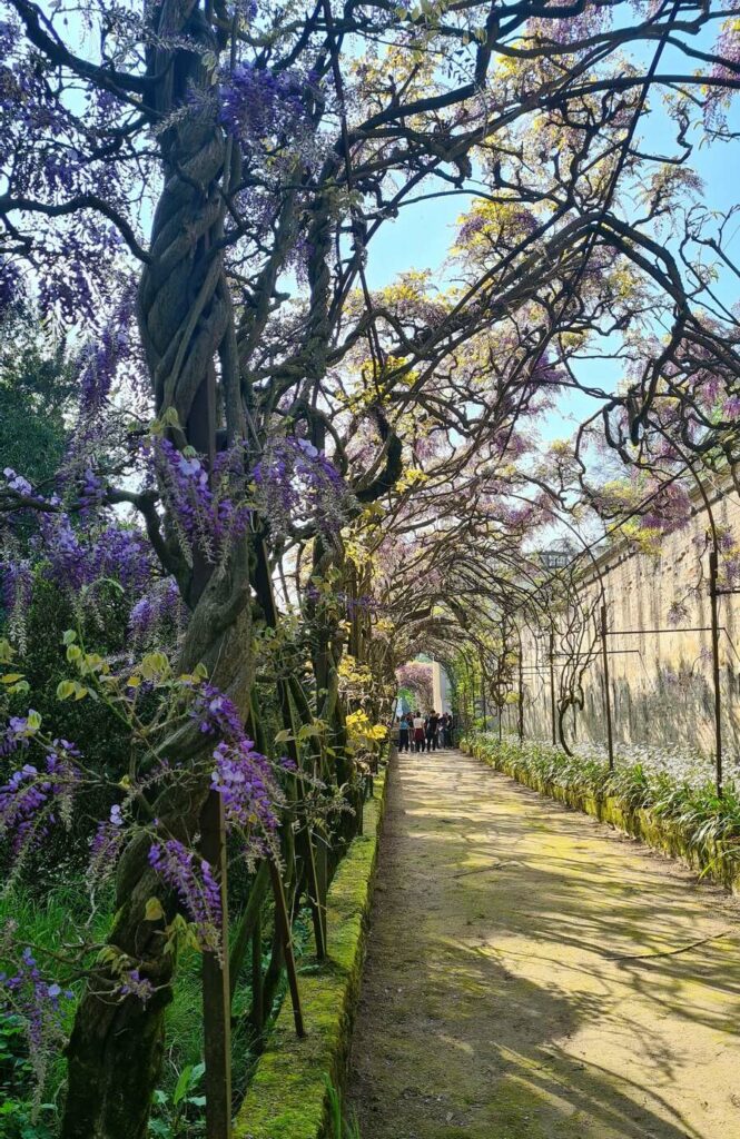 parco-villa-pisani-stra